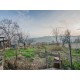 Properties for Sale_Farmhouses to restore_SMALL FARMHOUSE TO RENOVATE FOR SALE in Fermo in the Marche region in Italy in Le Marche_15